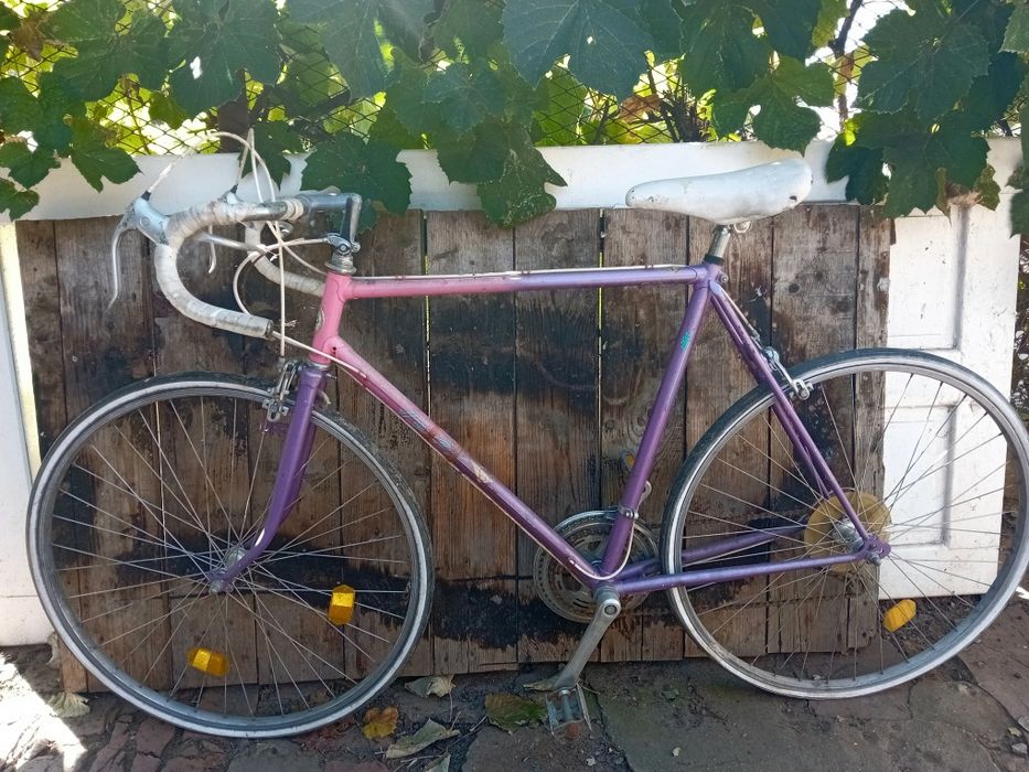 Bicicletă Cursiera