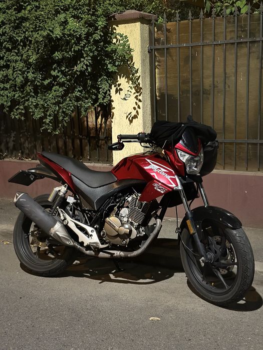 Daytona Monster 125 (Zontes)