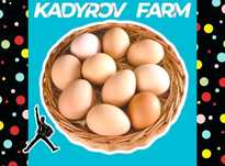 Опт яйцо куриное пищевое