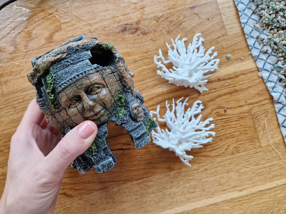 Acvariu de 60 de litri cu accesorii