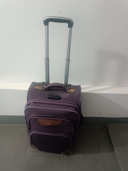 Сумка на колесиках с ручкой вытяжной