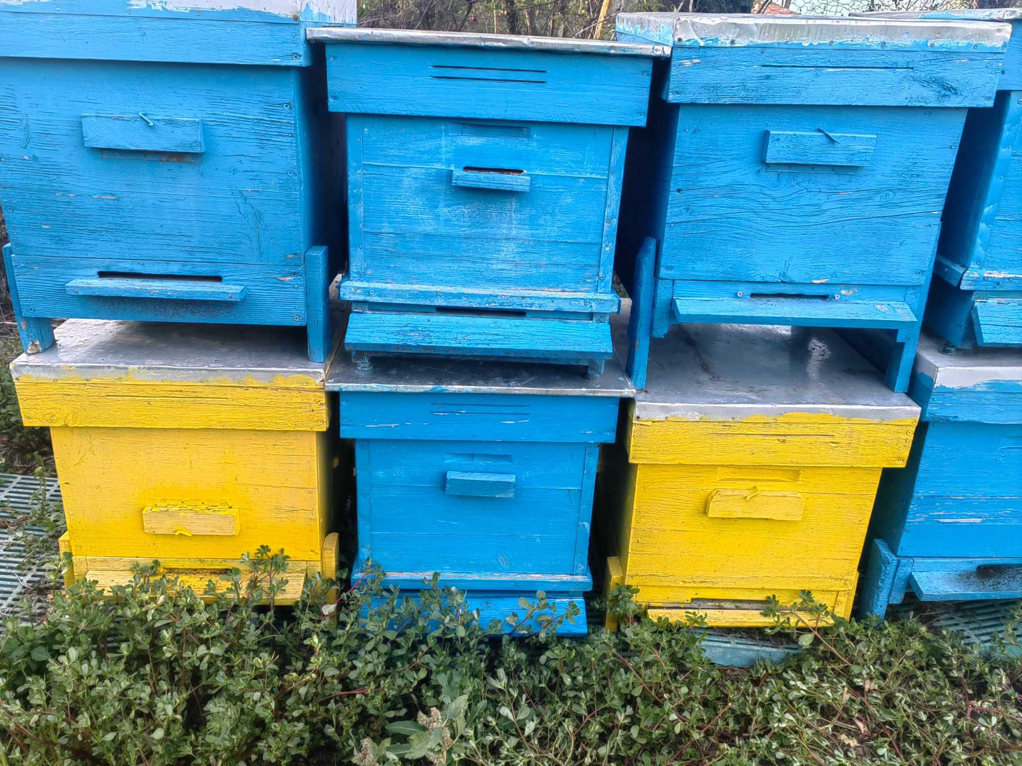Продавам 13 празни кошери Даданблат