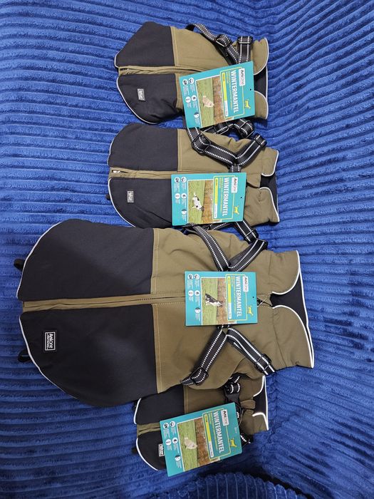 Hăinuțe pentru câini