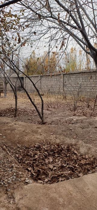 Продаю свою землю