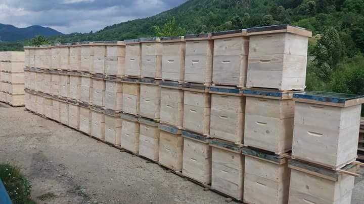 Stupi și subansamble apicole de calitate - GARANȚIE !