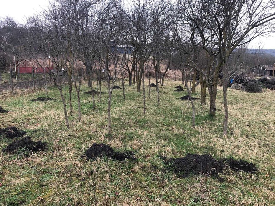 De Vânzare Teren Intravilan – 6.600 mp – Bădești, Jud. Cluj