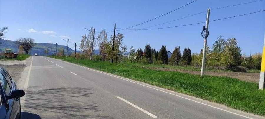 Vând 15000 mp teren