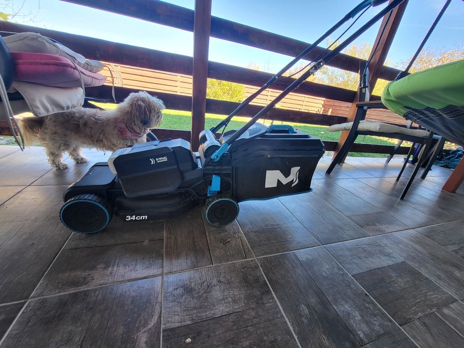 Masina de tuns iarba plus trimer aproape noi, folostie 2 lunii