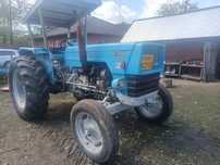 Vând landini 80 de cai