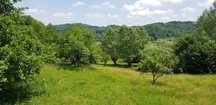 29.000mp lângă Curtea de Argeș, 2 căsuțe, curent electric și apă rețea