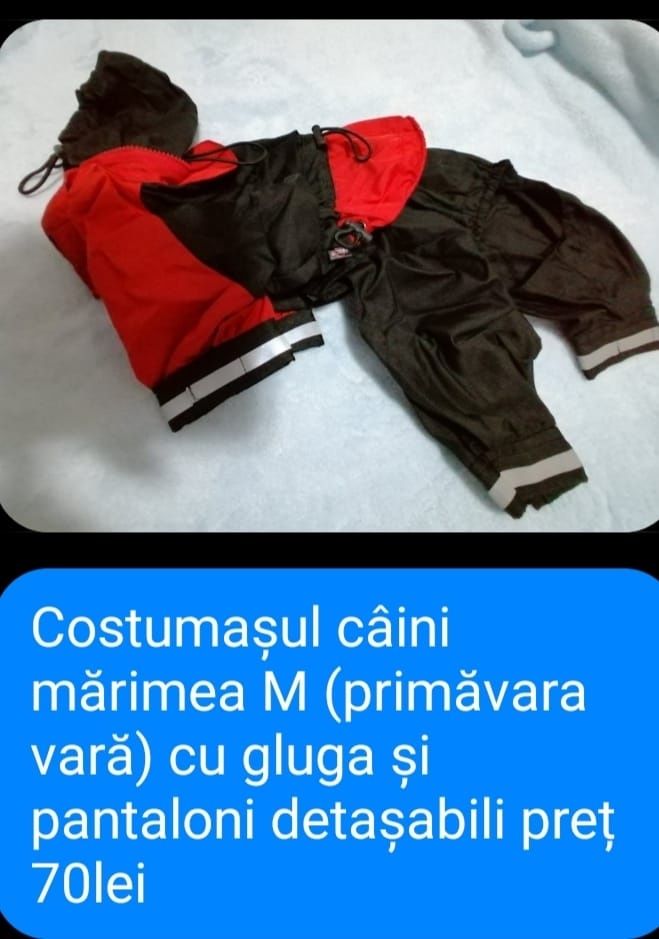 Hainute pentru căței din Germania