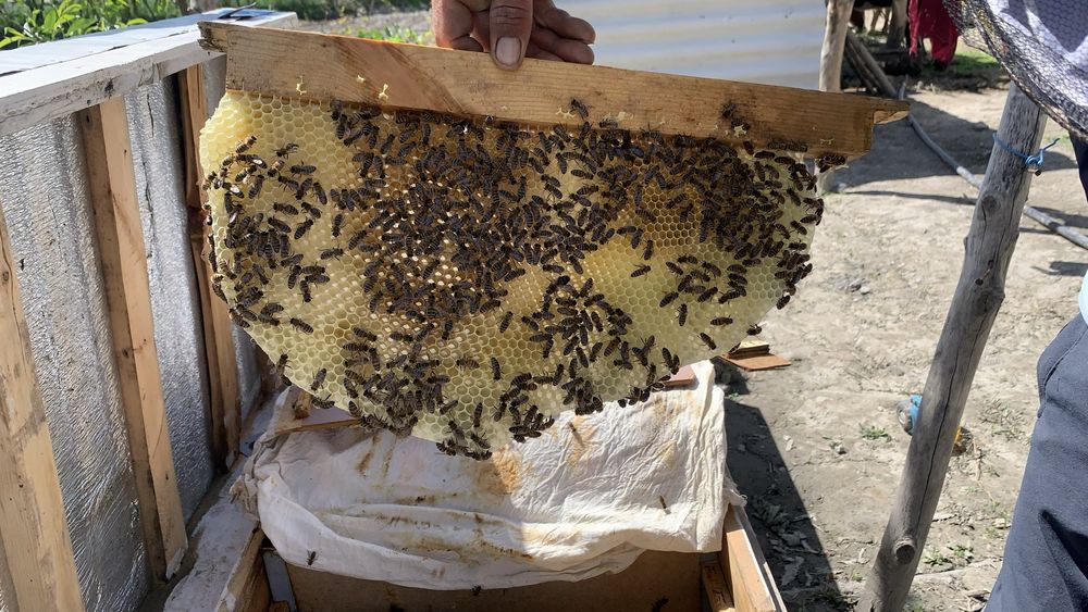 Асал МЁД отличный