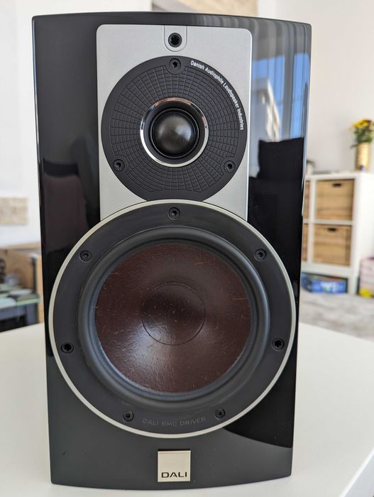 boxe raft Dali Rubicon 2