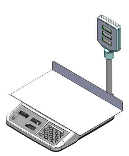 CAS PRII-30CP с большой платформой