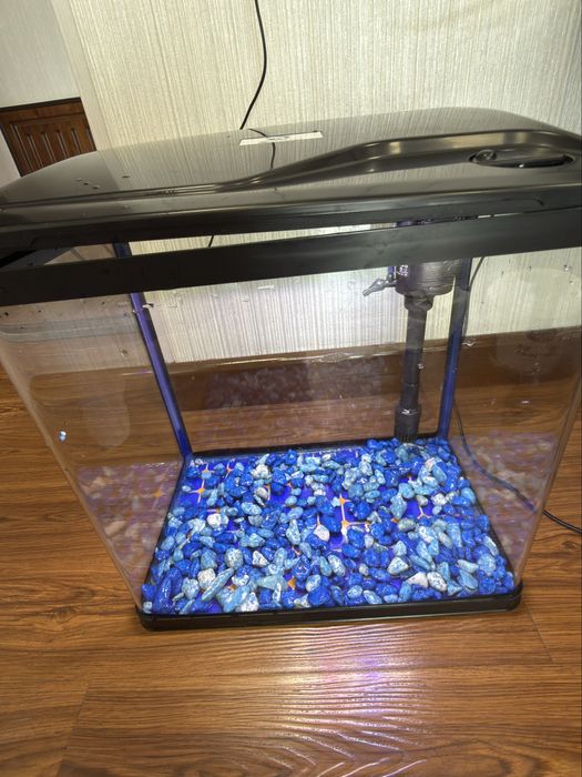 akvarium 25 litrli. ideal