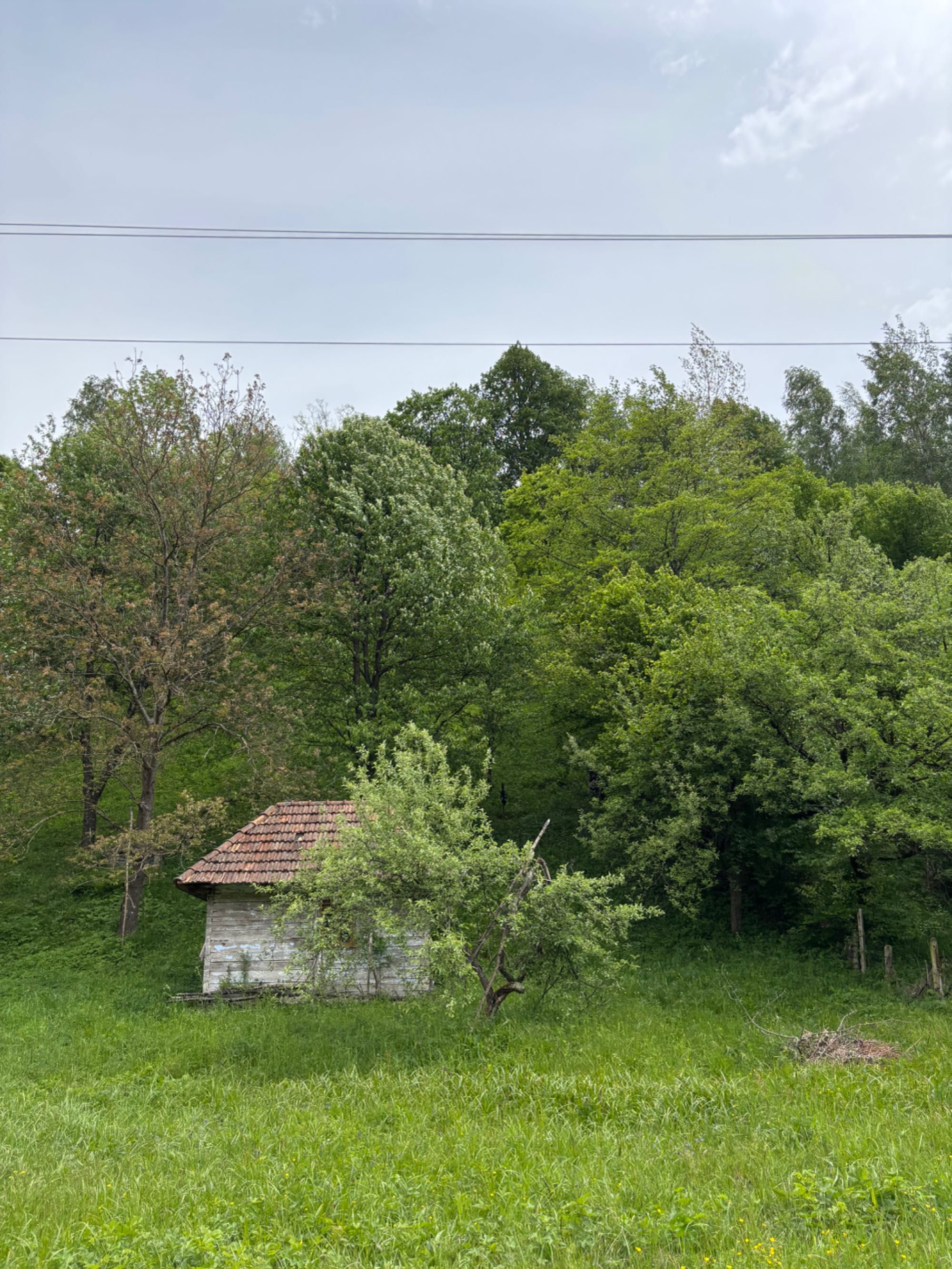 Vând casă și teren în Munteni, comuna Bulz ( Bihor) cu ieșire la DJ