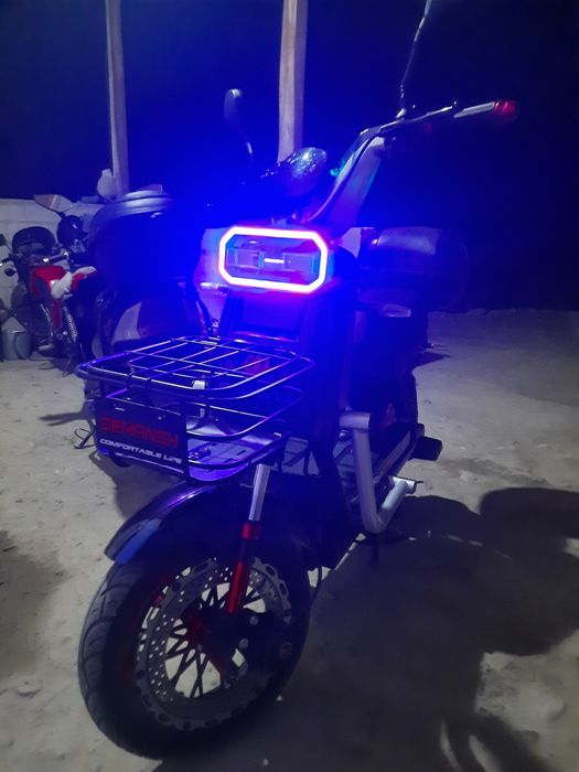 SUKUTR YANGI Model Garantiya bor