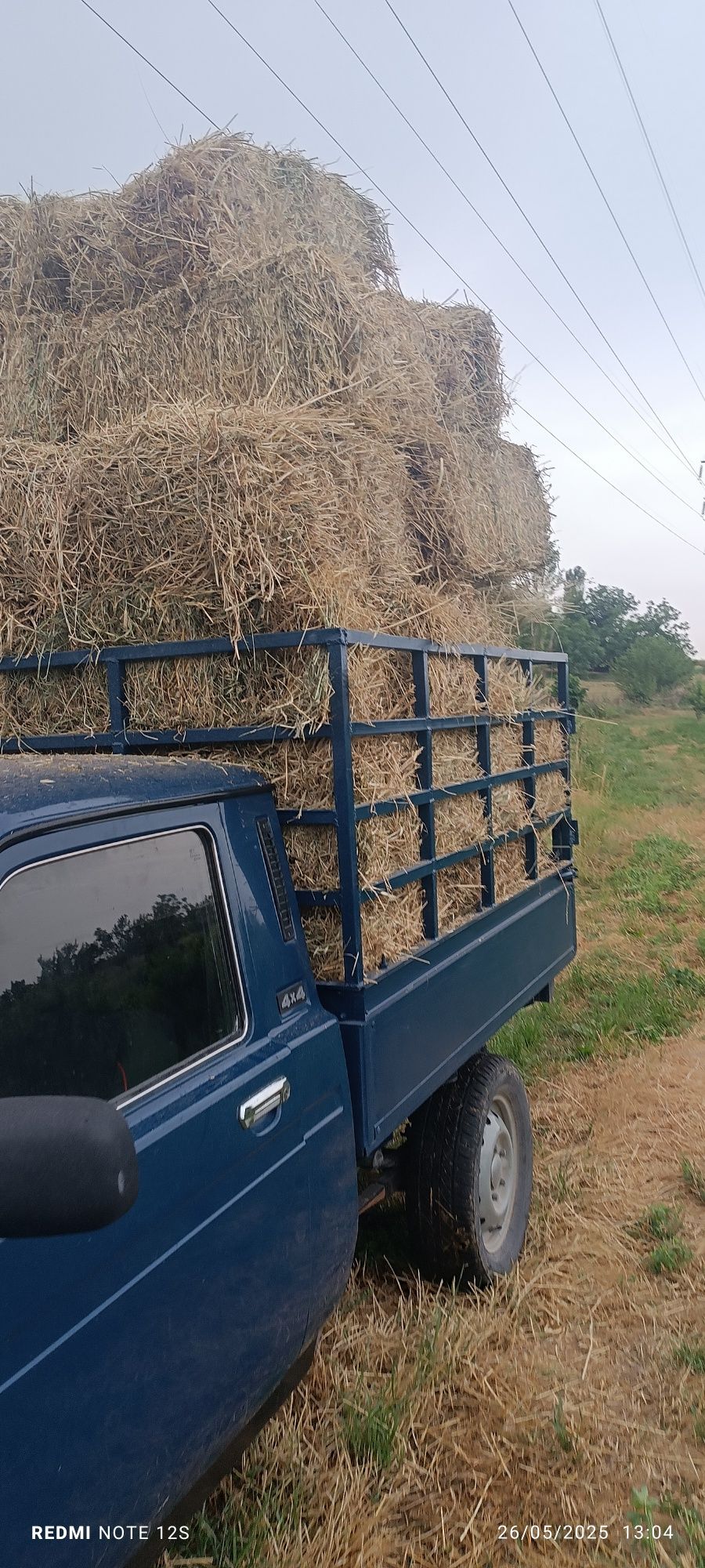 Niva pikap 2 kishilik orqa borti uzunidan zavadskoy pikap