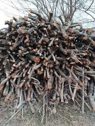 Oʻtin tadir va pechkabob