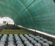 Protectie/Umbrire SOLAR  Livrare Rapida GARANTIE