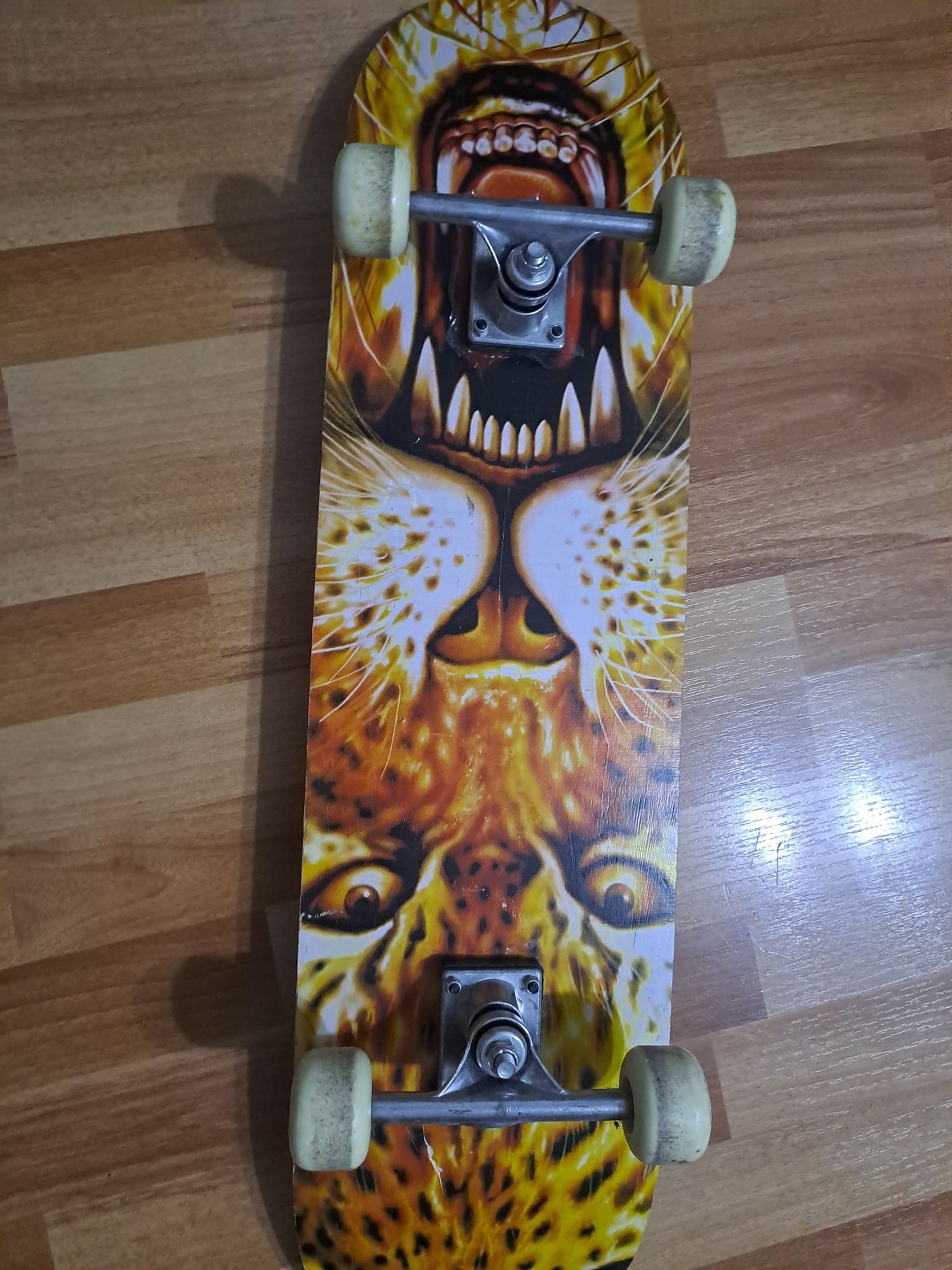 Skateboard  universal