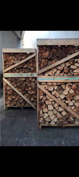 Lemne de foc paleti fag