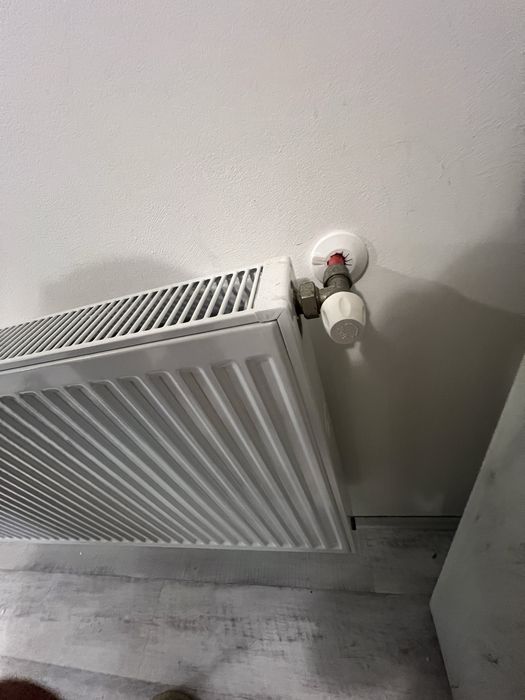 Calorifer Mastas - Korado 1600 x 600 22PKKP