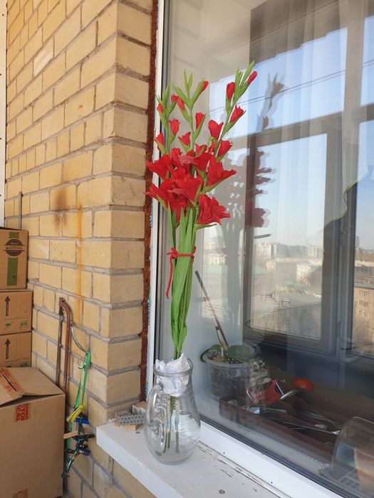 Гладиолусы 3 штуки.