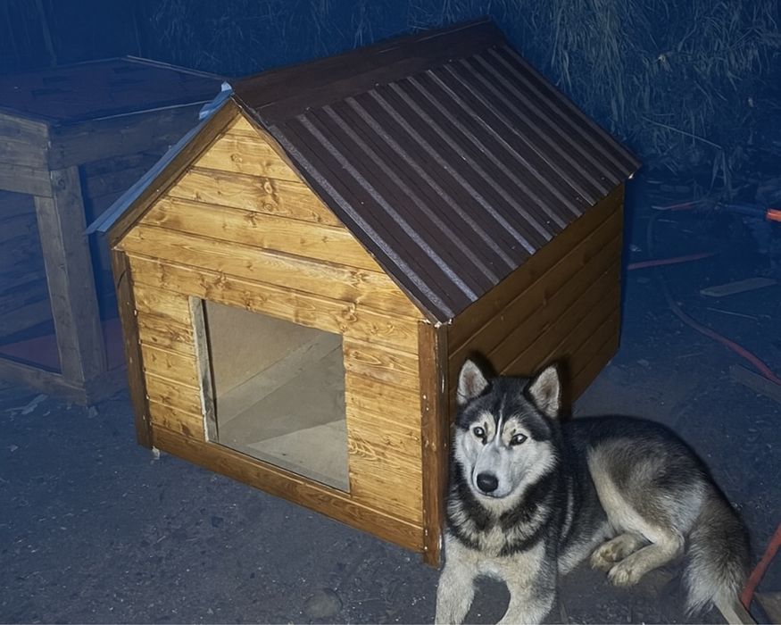 Зимная Будка Домик Для Собак С Утеплением Доставка