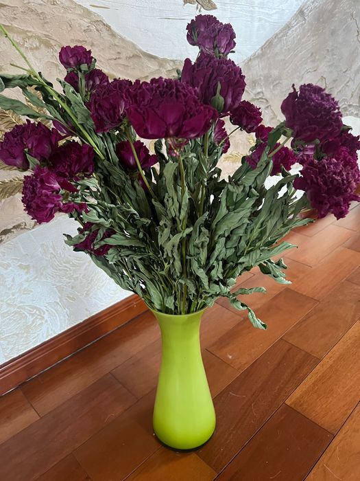 Пионы с вазой Листья купены гербарий