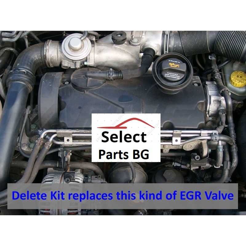 ЕГР EGR Delete Racepipe Race pipe  VW Audi Seat Skoda 57мм 57mm 1.9TDI