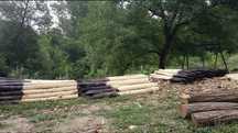 Stalpi/Pari de salcam pentru gard