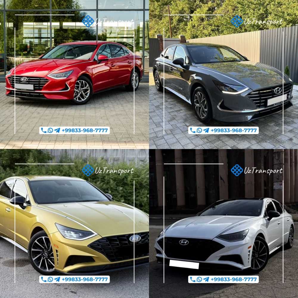 Персональные экскурсии с гидом и машиной Сопровождение авто с водителе