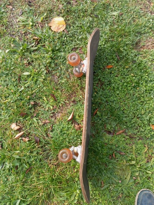 Skateboard dead sport