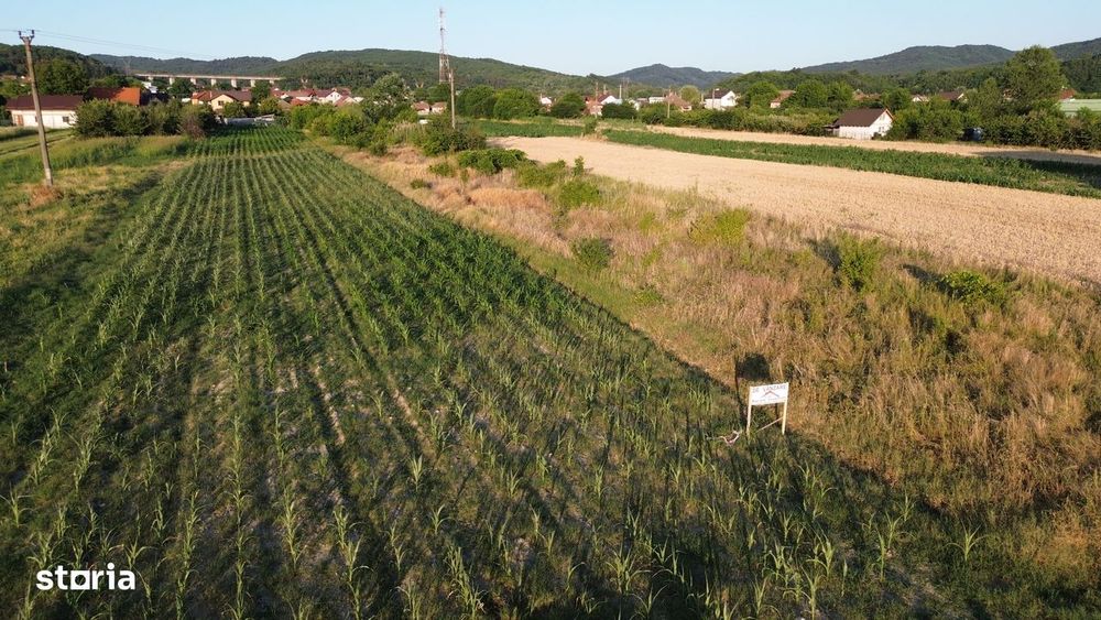 Oferta /  Teren 2890 Mp / Zona Budesti /