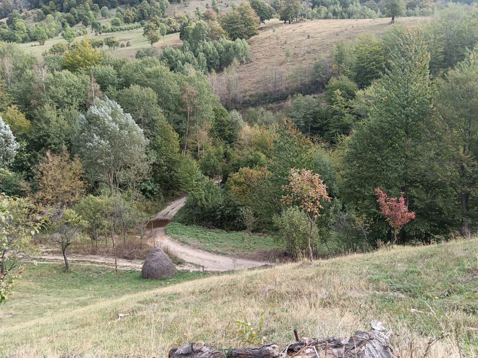 Teren Muntii Cernei,Cornereva,Dobraia