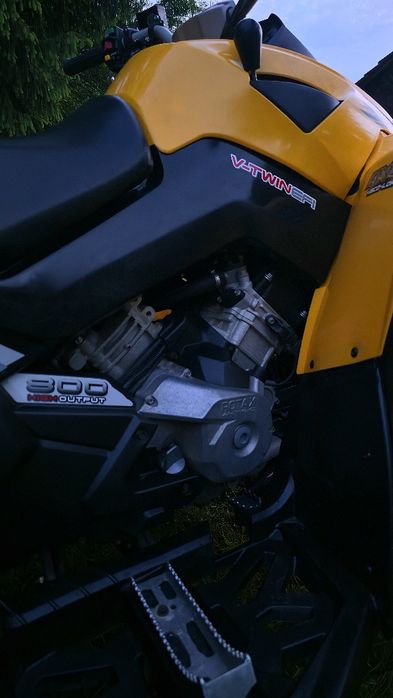 Can am renegade  800