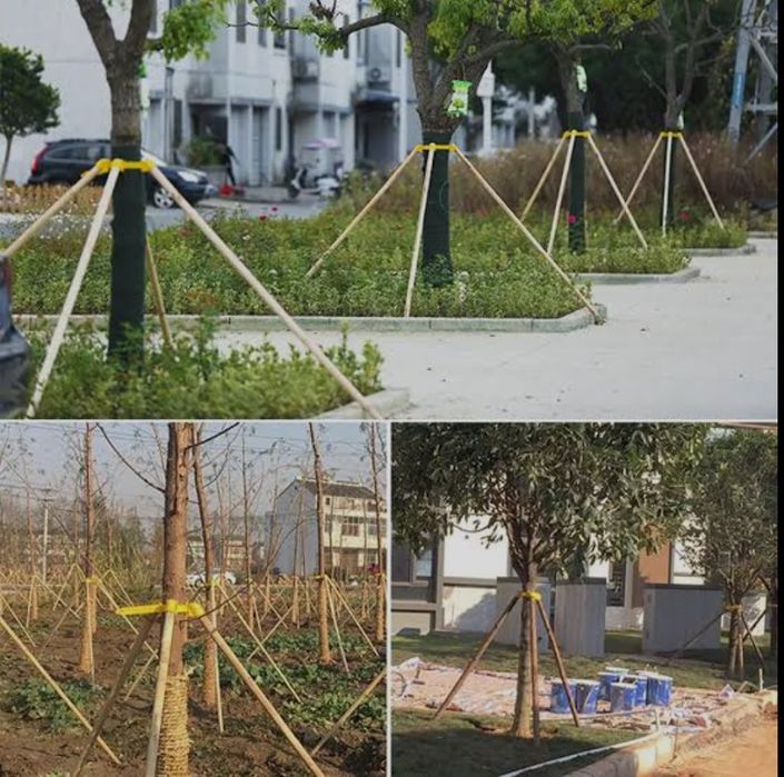 Опора для растений ( дарахтлар учун козик ва тиргаклар)