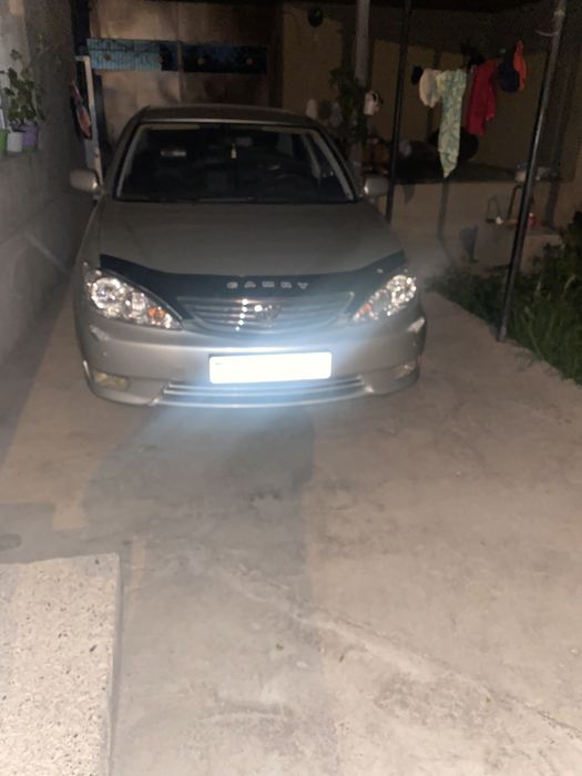 Продам европейку таету