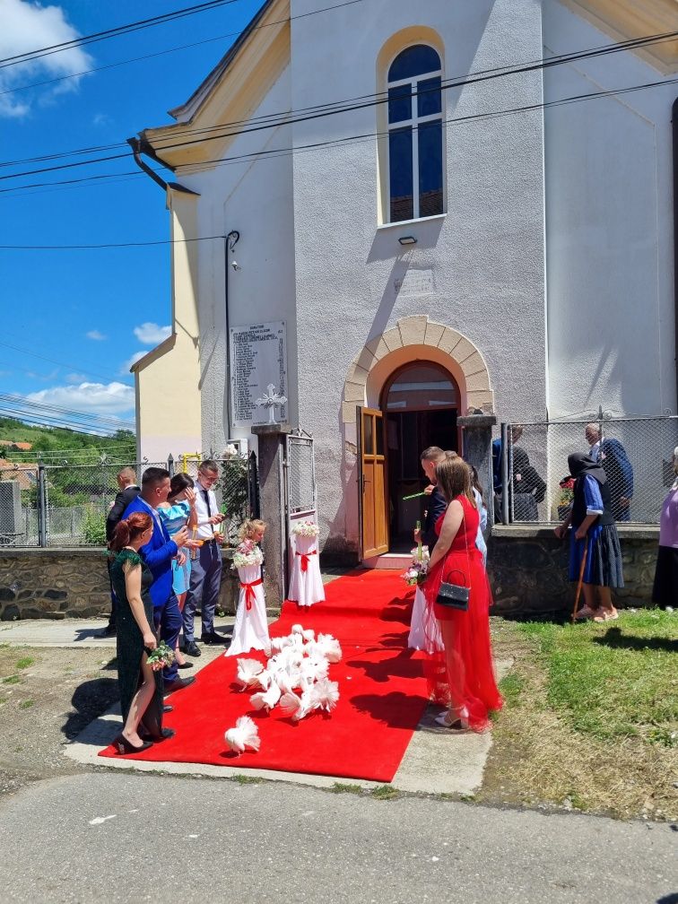 Porumbei albi ptr nunti