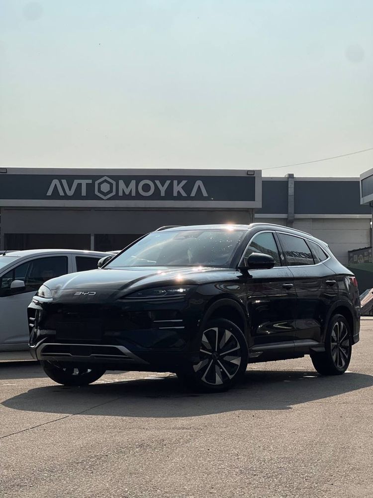 BYD champion smart
