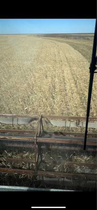 Продается земля в долгосрочной аренде