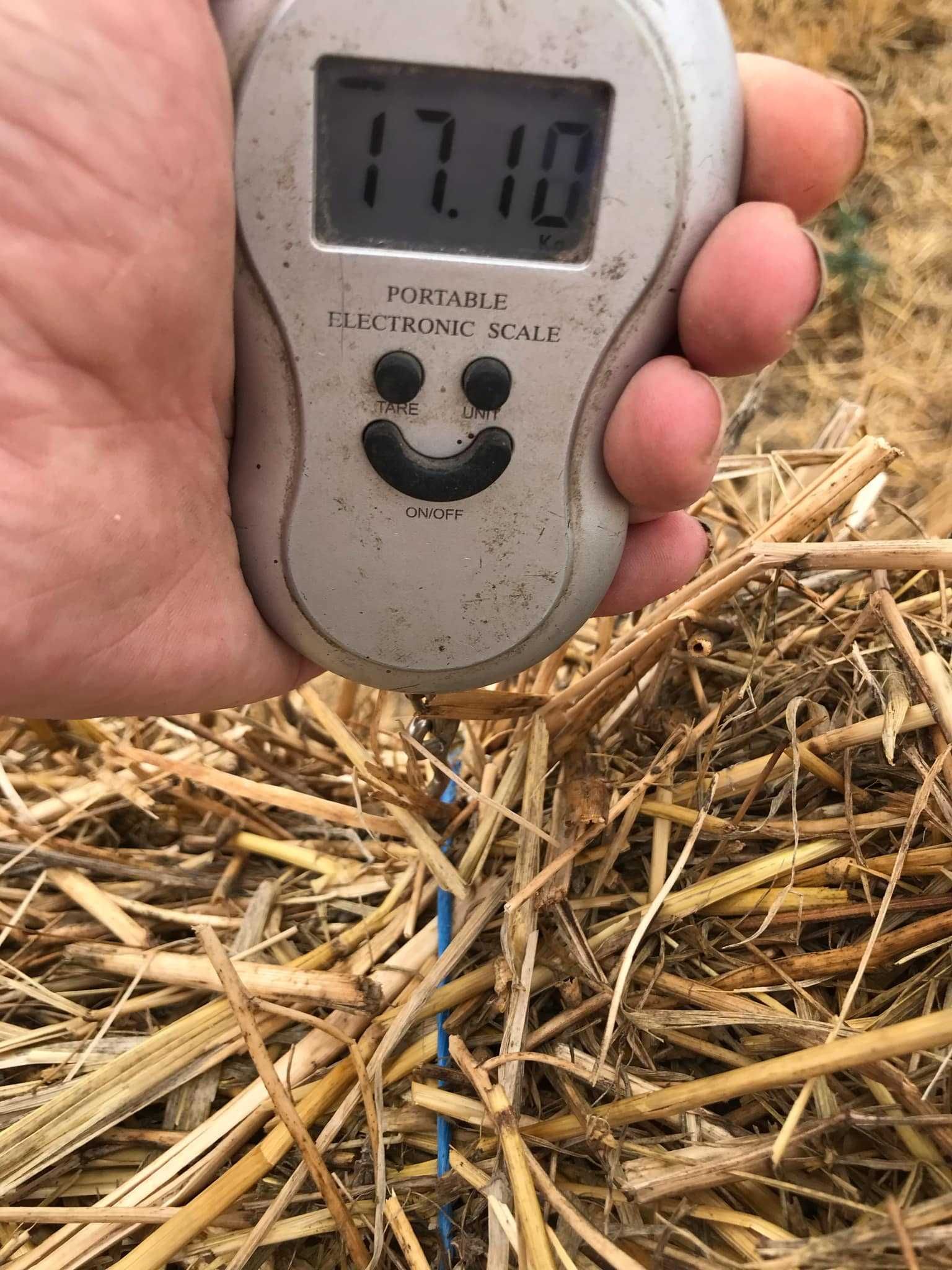 Продавам Пшеничени слама Бали