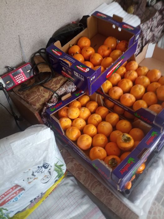 Райска ябълка екологично чиста без никакви пръскания