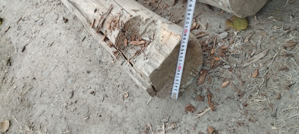 б/у borollar narxini kelishamiz