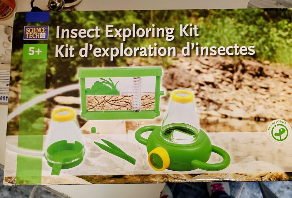 insect explorer kit