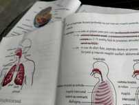 Meditatii biologie