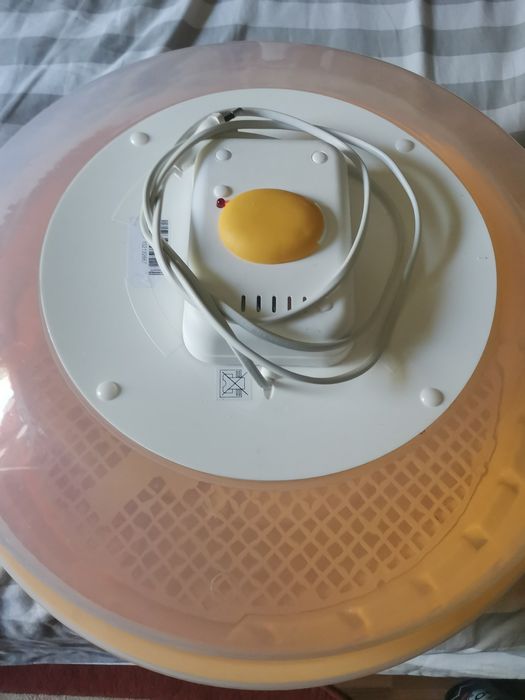 Incubator 60 ouo