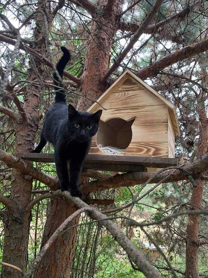 Къща за коте - размери С и М - Колиба за котета,Къщичка за котки