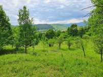 24.500mp - TEREN INVESTIȚII  doar 1€/mp Camping/Pensiune/Turism